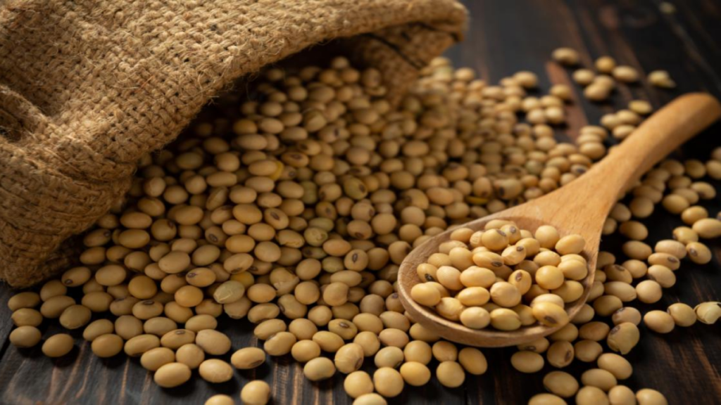 विरोधकांचे ‘सोयाबीन अस्त्र’ ‘प्रिय बहिणी’चा प्रभाव थांबवणार का?