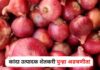Onion : बांगलादेशकडून कांदा आयातीवर 10 टक्के शुल्क लागू, कांदा उत्पादक शेतकरी पुन्हा अडचणीत!
