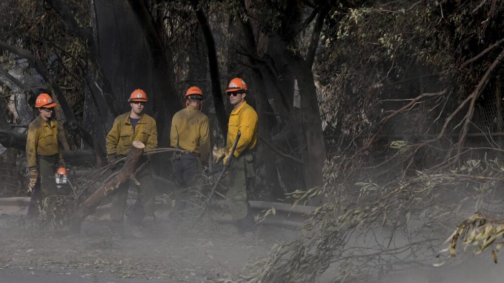 लॉस एंजेलिसच्या आगीने कॅलिफोर्नियातील किमान 40 वर्षांतील सर्वात मोठे शहरी भाग जळून खाक झाले आहेत.