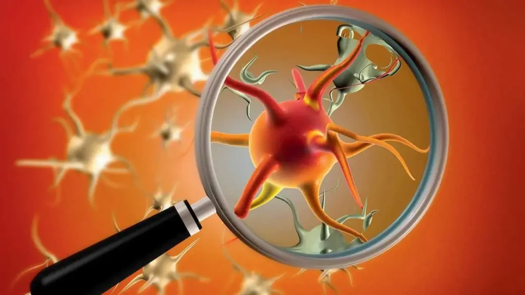 एचएमपीव्ही विषाणूने स्पष्ट केले: या फ्लू सारख्या आजाराबद्दल तुम्हाला 10 मुख्य तथ्ये माहित असणे आवश्यक आहे